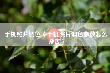 手机照片调色(手机照片调色参数怎么设置)